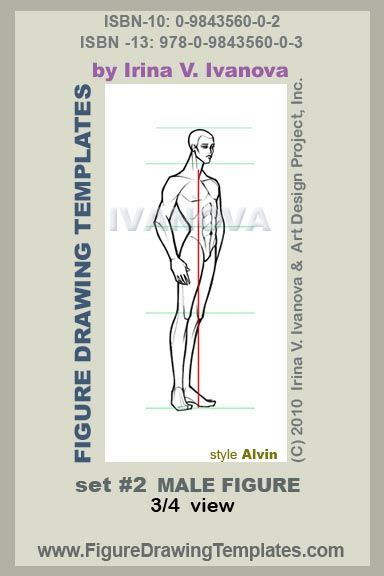 384x576 This Male Figure Drawing Template Designed For Drawing Male Body