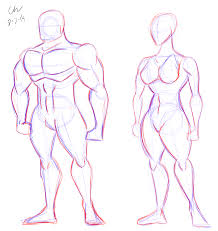 218x231 Anatomy Image Organs 10 Images Pictures Illustrations Body Human