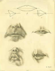 193x250 Elements Of Drawing