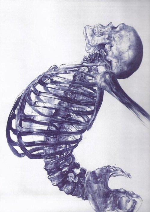 500x703 Polar Pen Skeleton Art, Skeletons And Anatomy