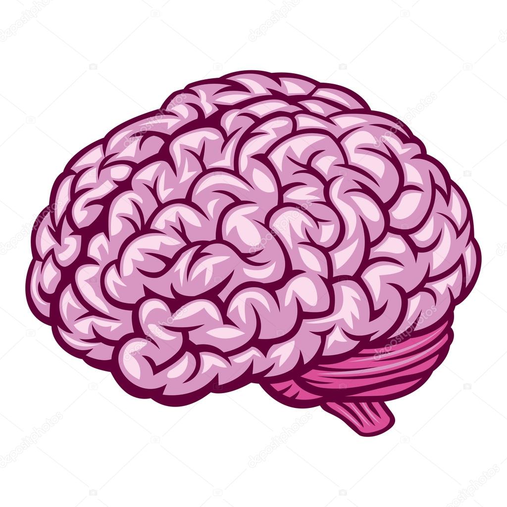 1024x1024 Human Brain Comics Drawing Stock Vector Fixer00