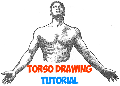 500x356 How To Draw The Human Torso And Chest