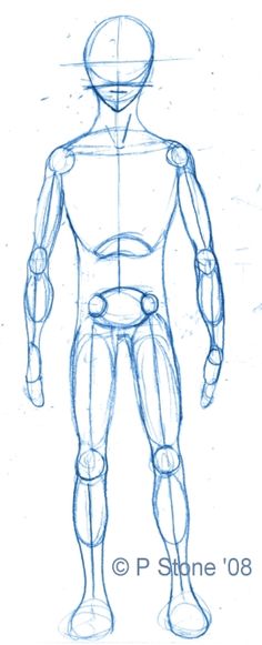 236x581 Step By Step Worksheet How To Draw The Human Body