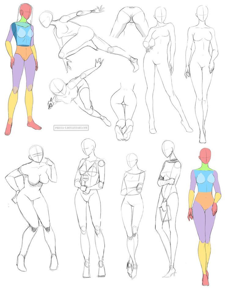 736x947 Female Anatomy 8 By Precia T On Art Figure Tutorials