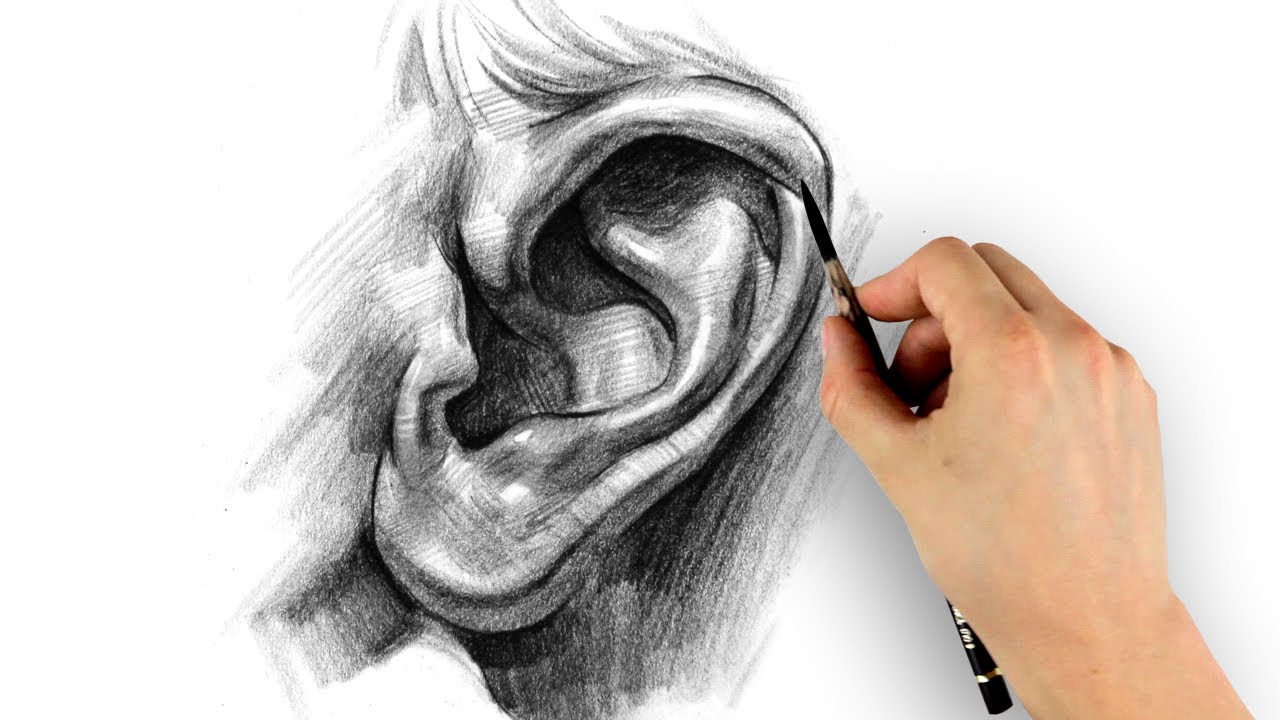1280x720 How To Draw Ears