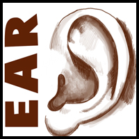 200x200 How To Draw Ears And The Human Face Drawing Tutorials Amp Drawing