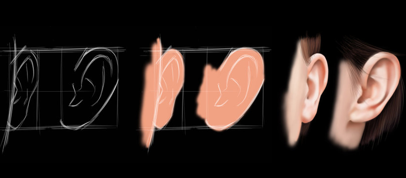 830x365 Steps For Drawing A Realistic Human Ear