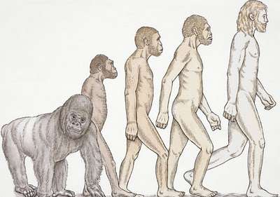 400x281 Challenging The Timeline Of Human Evolution Wisconsin Public Radio