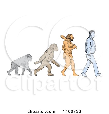 450x470 Clipart Of A Line Of Human Evolution In Sketched Drawing Style