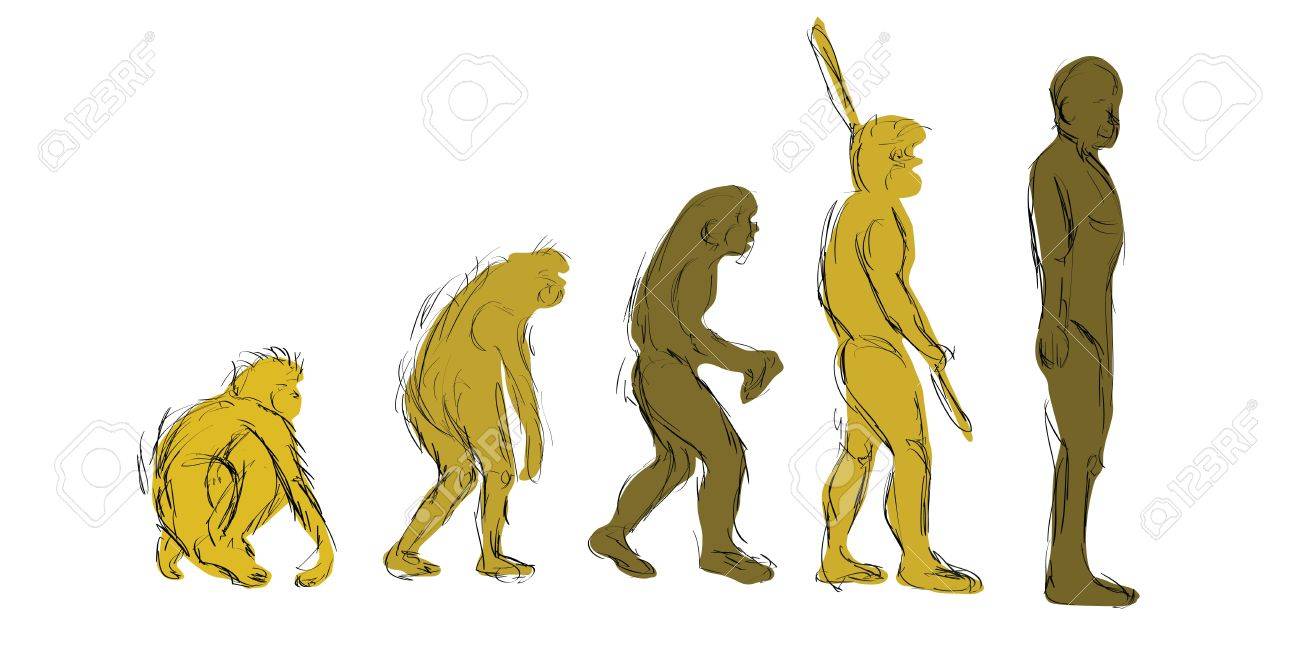 1300x650 Evolution Hand Draw Royalty Free Cliparts, Vectors, And Stock