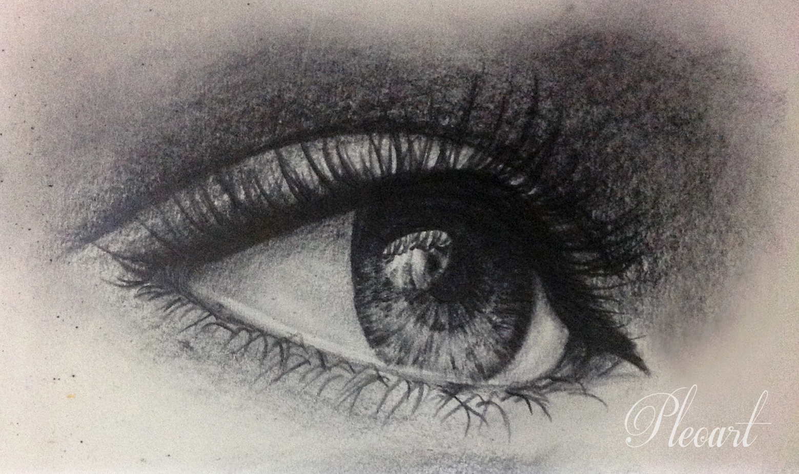 1559x925 Human Eyes Drawing Pleoart