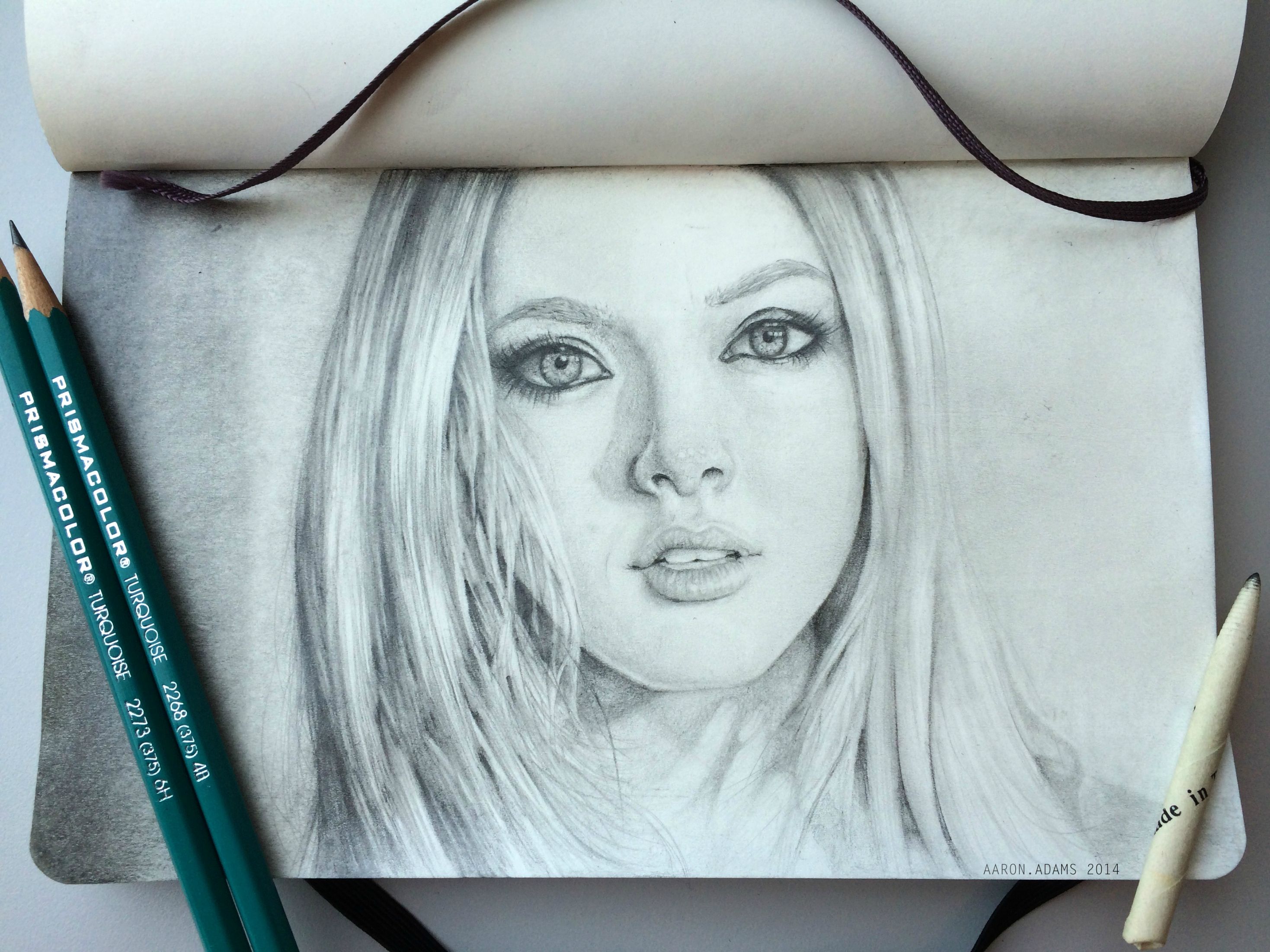 2937x2203 Draw, Create And Inspire Tutorial Human Face, Amanda Seyfried