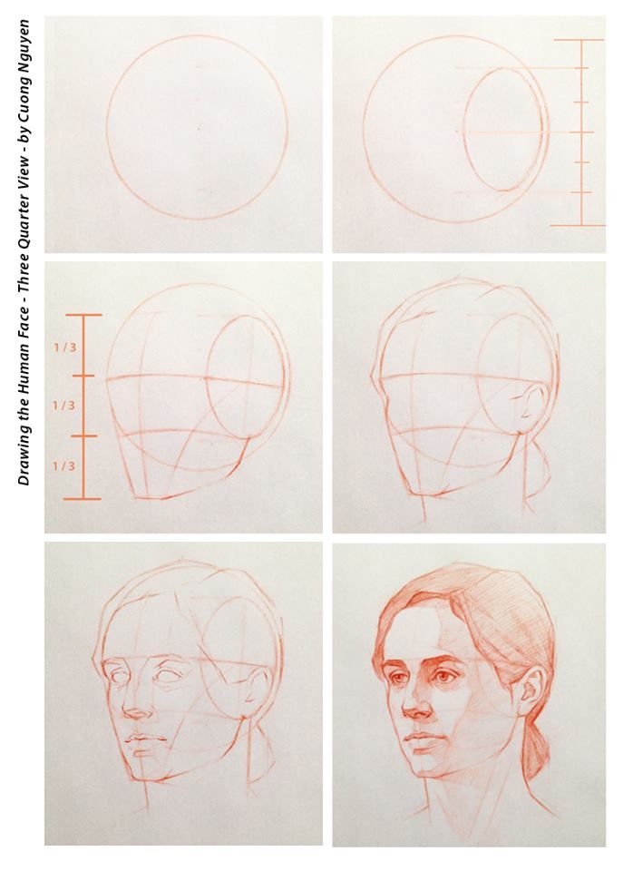 698x960 Drawing The Human Face