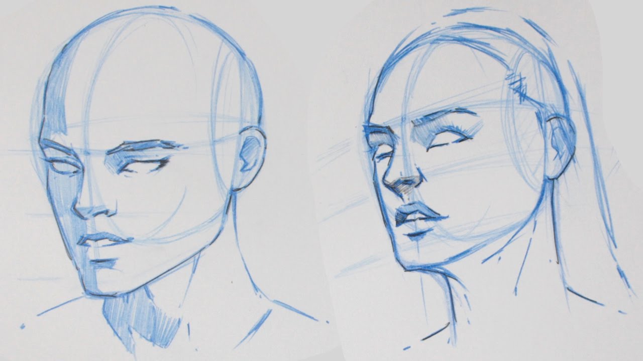 1280x720 How To Draw The Human Head