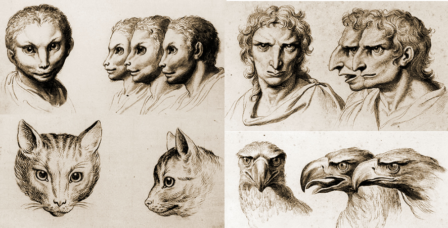 886x452 Physiognomy The Human Face With Animal Qualities