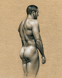 240x300 Human Figure Drawings Fine Art America