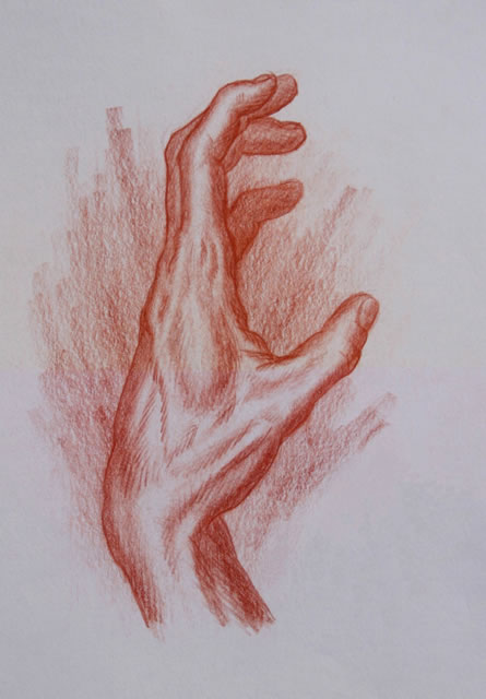 445x640 Human Hands Sketches Human Hand Hand Studies Drawing