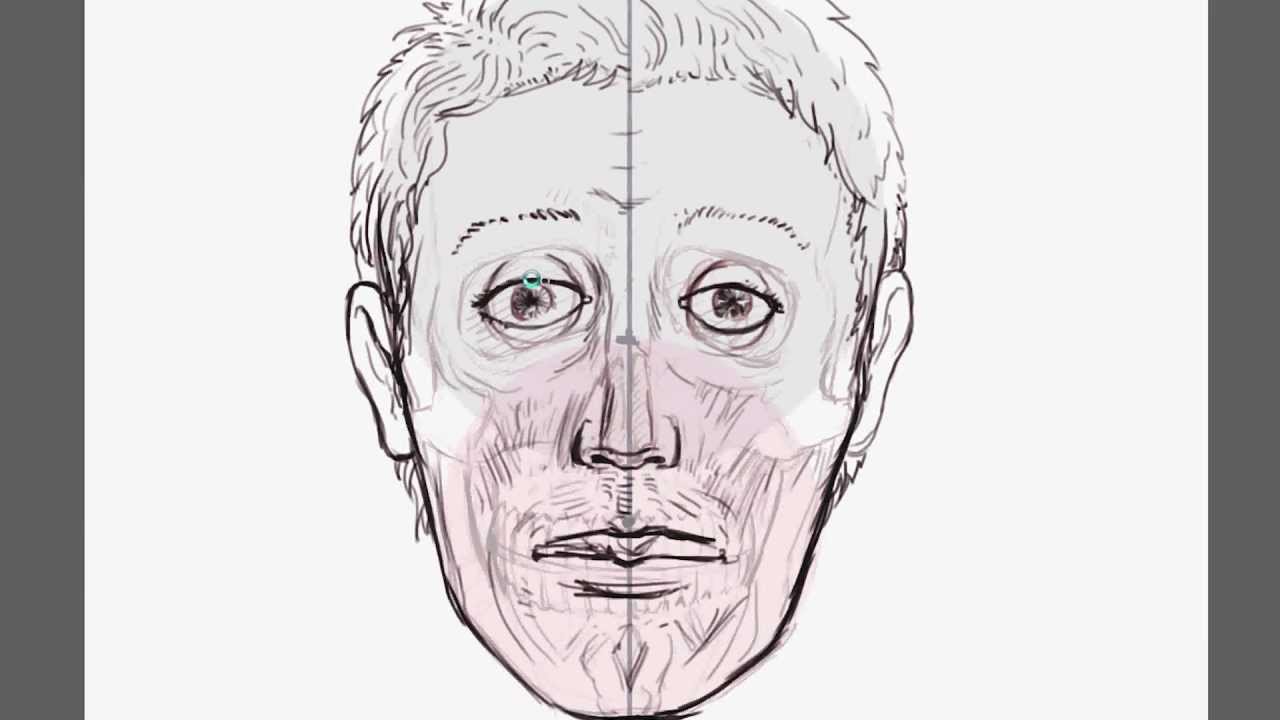 1280x720 Human Anatomy How To Draw And Ink The Head