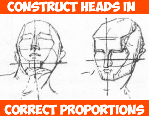 500x391 How To Draw Human Head In The Right Measurements And Proportions