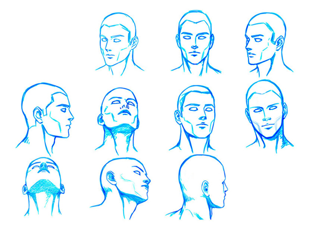 640x475 How To Draw Human Heads How To Draw The Human Head Draws