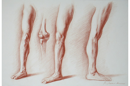 450x300 Drawing Bodies 101