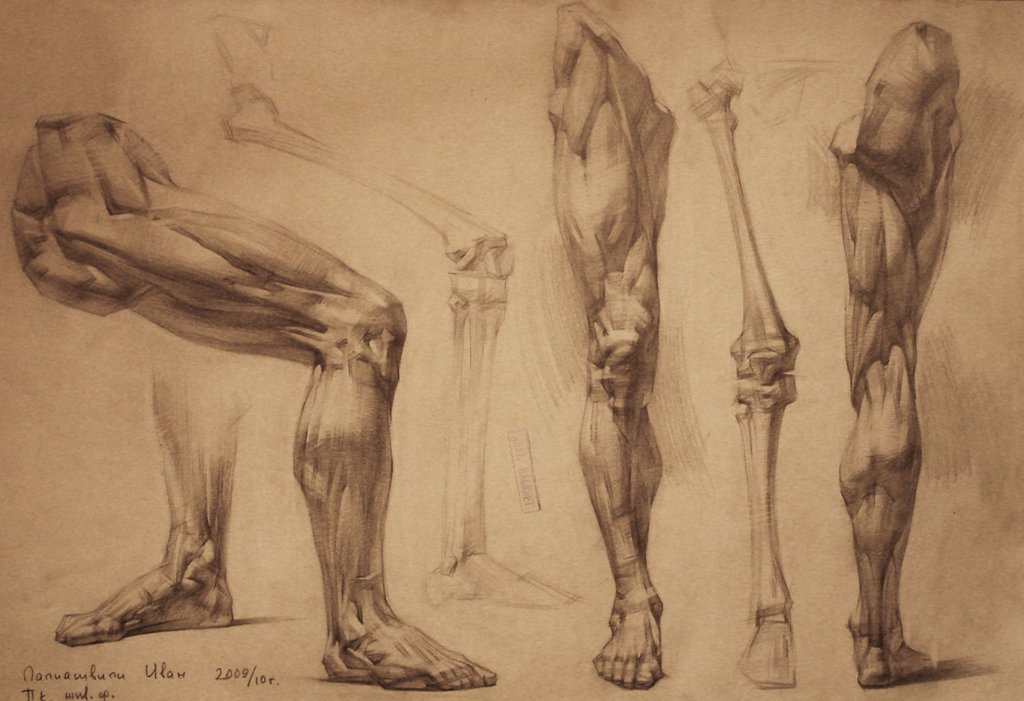 1024x701 Human Anatomy 30 By Ivanlaliashvili