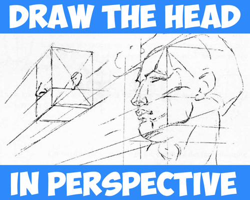 500x399 How To Draw The Head Perspective Drawing Human Head