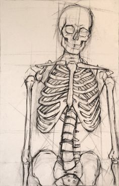236x369 How To Draw A Skeleton