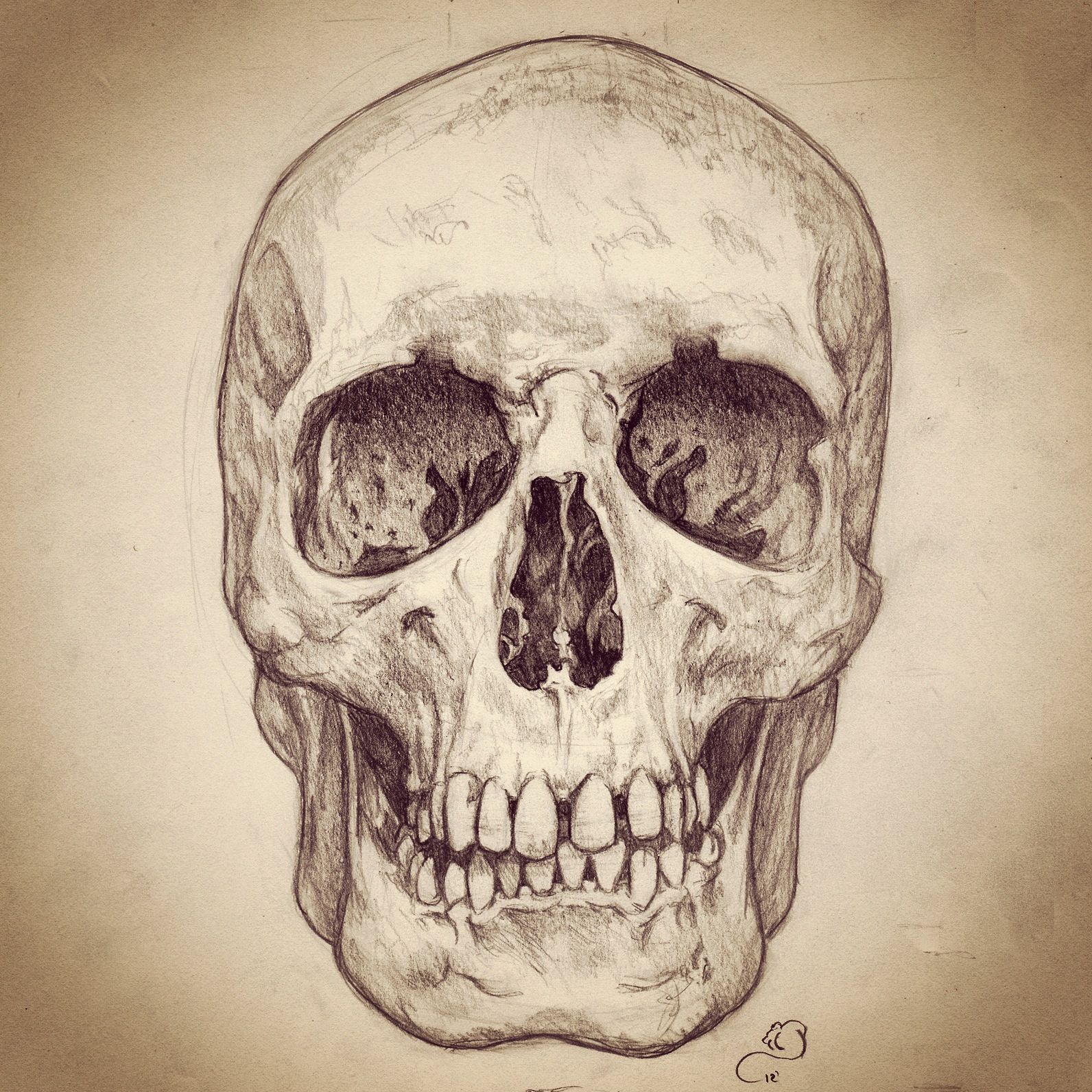 1592x1592 Pencil Sketch Of Human Skull Skulls Human Skull