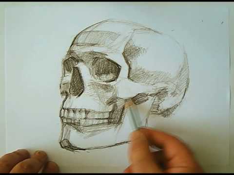 480x360 Speed Drawing Human Skull