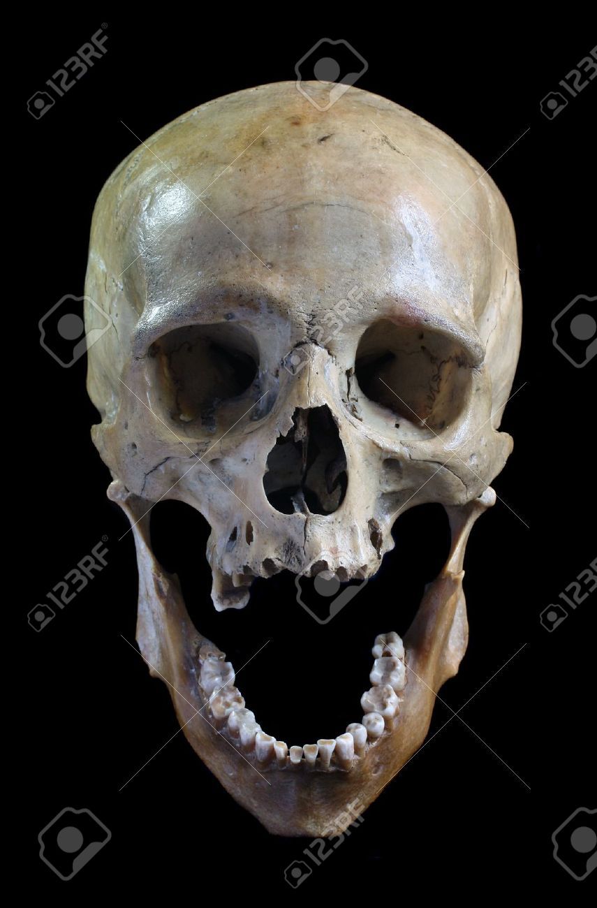 855x1300 9507390 Skull Of The Person On A Black Background Stock Photo