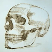 200x200 Speed Creation Of Human Skull