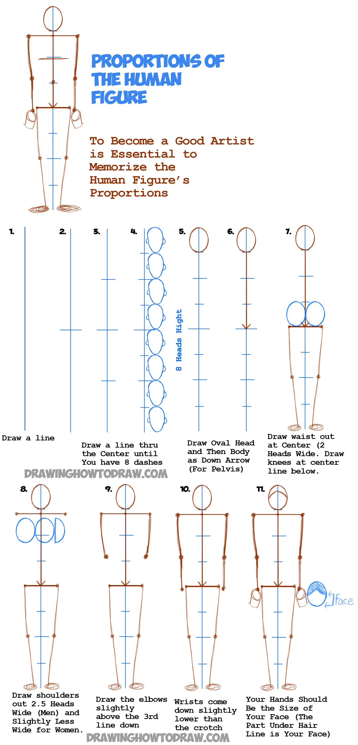 1500x3121 Learn How To Draw Human Figures In Correct Proportions By