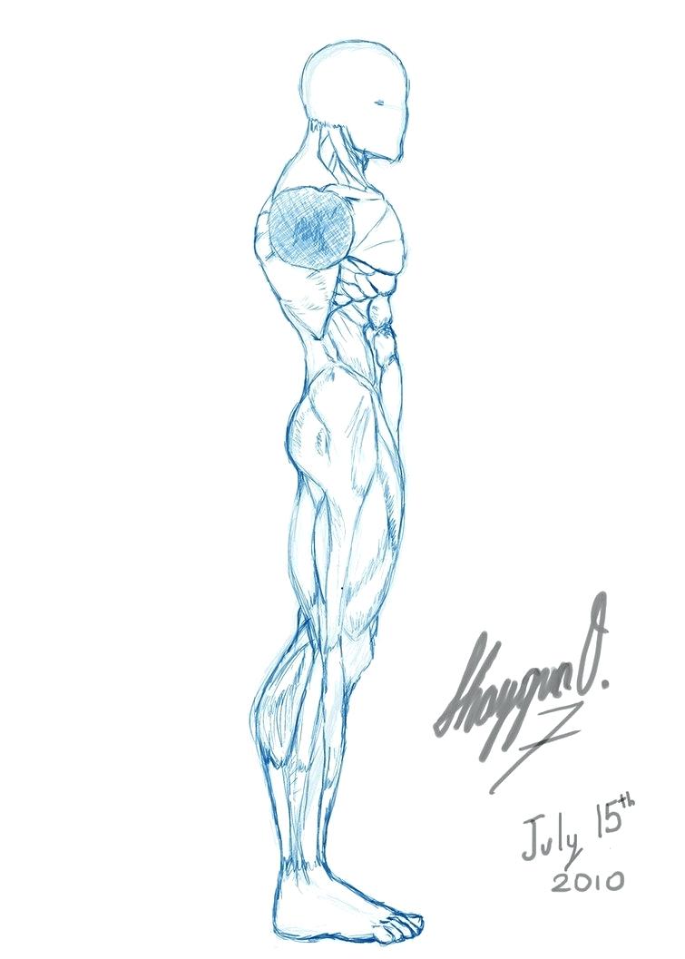 755x1057 Template Male Body Outline Template Human Front And Back Strand