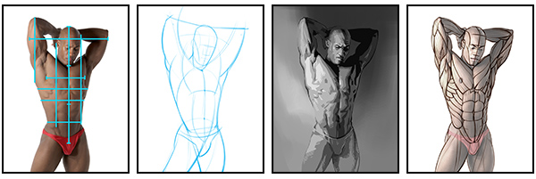 600x201 How To Draw And Shade The Human Torso Proko