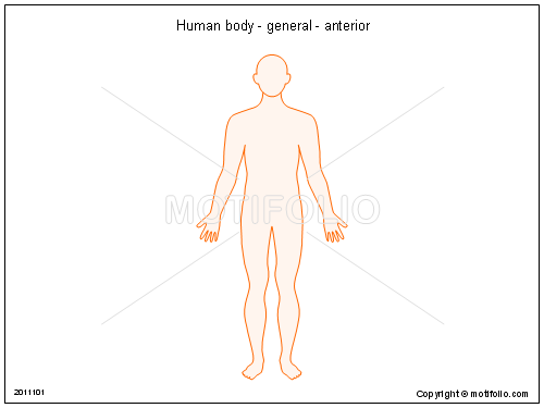 500x375 Human Body