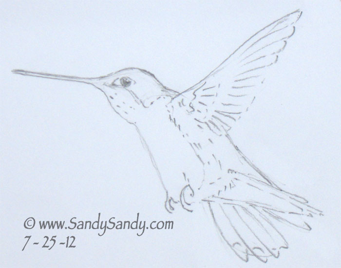 700x551 Drawing Everyday A Kitten, A Horse And Two Hummingbird Drawings