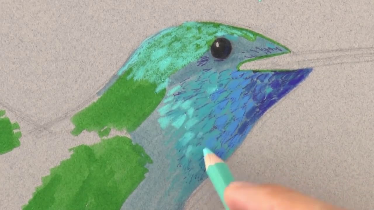 1280x720 How To Draw A Hummingbird