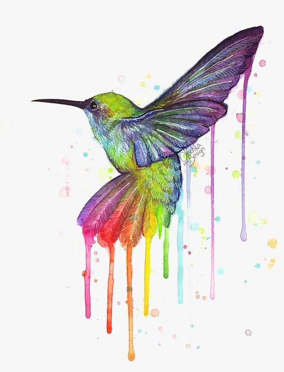 564x739 Hummingbird, Drawing Hummingbird, Drip Effect, Rainbow Png Image