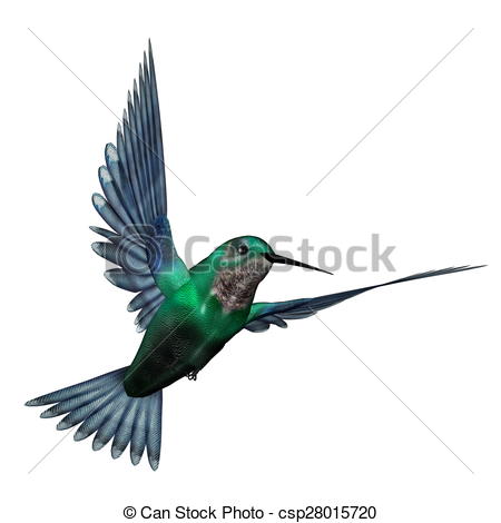 450x470 Emerald Hummingbird
