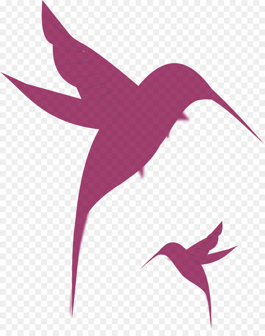 900x1140 Hummingbird Silhouette Drawing Clip Art