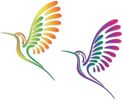 424x347 Easy Colibri Drawing