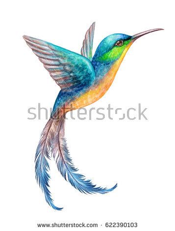357x470 Watercolor Illustration, Flying Hummingbird Isolated On White