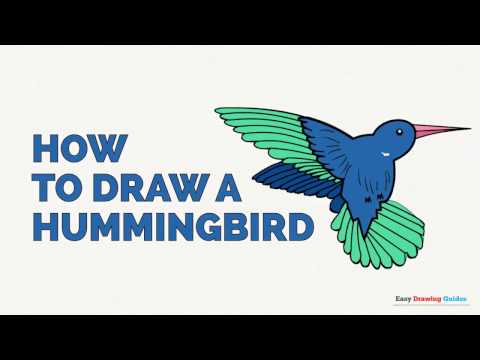 480x360 How To Draw A Hummingbird In A Few Easy Steps Drawing Tutorial