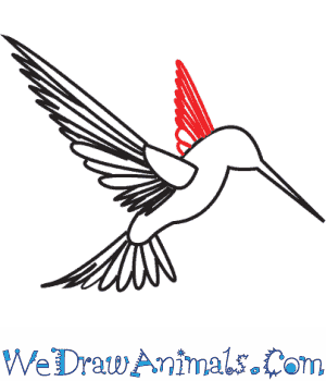 300x350 How To Draw A Hummingbird