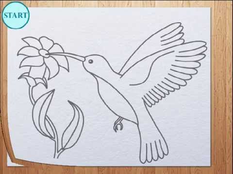 480x360 How To Draw Humming Bird Colibri