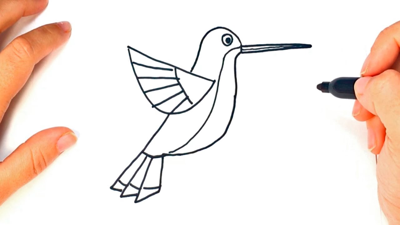 1280x720 How To Draw A Hummingbird Hummingbird Easy Draw Tutorial