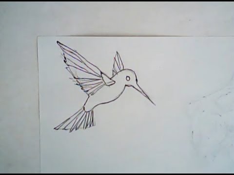 480x360 How To Draw A Hummingbird (Simple Drawing)