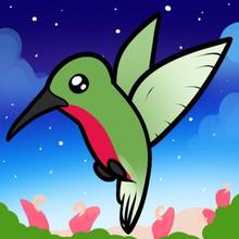 220x220 How To Draw How To Draw A Hummingbird For Kids
