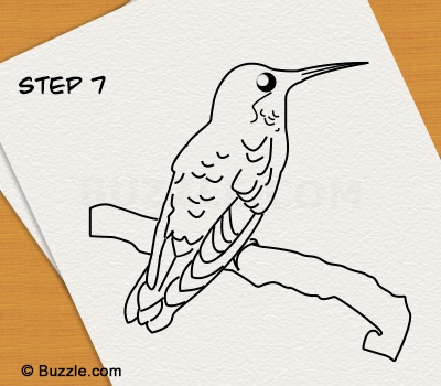 400x350 Step By Step Instructions To Draw A Hummingbird
